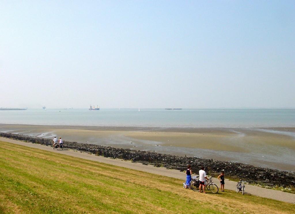 Hotel De Blaauwe Leeuw Terneuzen Zewnętrze zdjęcie